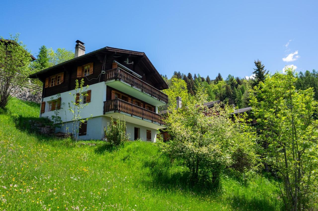 Chalet Orion Bellwald Exterior foto